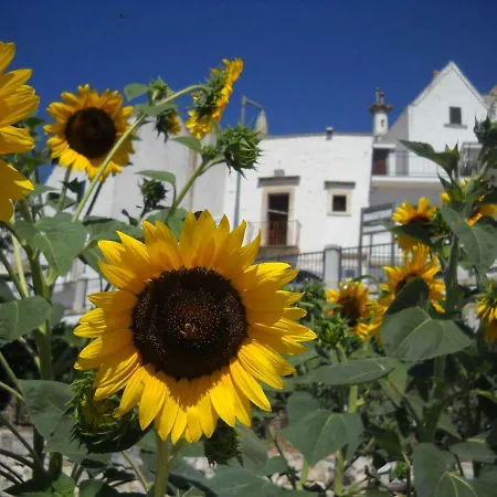 Cuore Dei Venti Farma Martina Franca