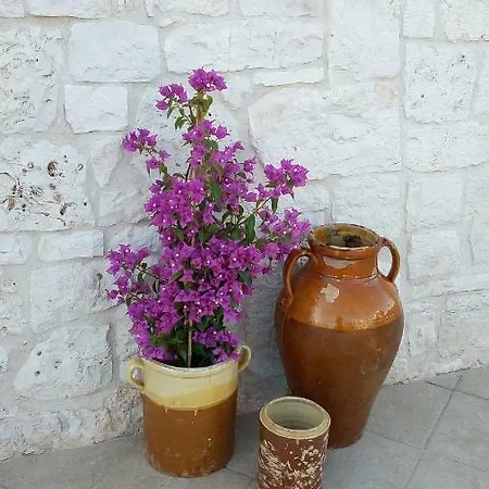 Cuore Dei Venti *