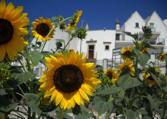 Cuore Dei Venti Feriegård Martina Franca